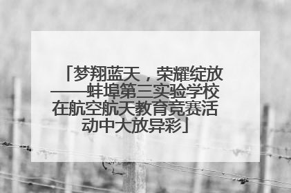梦翔蓝天，荣耀绽放——蚌埠第三实验学校在航空航天教育竞赛活动中大放异彩