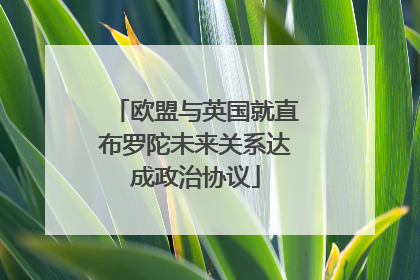 欧盟与英国就直布罗陀未来关系达成政治协议