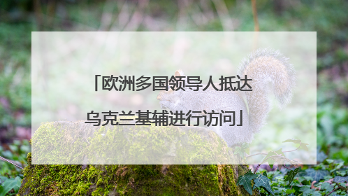 欧洲多国领导人抵达乌克兰基辅进行访问