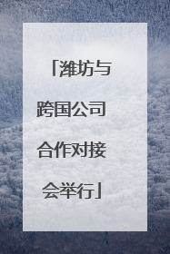 潍坊与跨国公司合作对接会举行