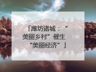 潍坊诸城：“美丽乡村”催生“美丽经济”