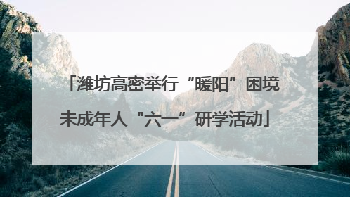 潍坊高密举行“暖阳”困境未成年人“六一”研学活动