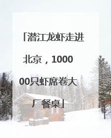 潜江龙虾走进北京，100000只虾席卷大厂餐桌