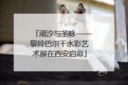 潮汐与圣咏——黎玲巴尔干水彩艺术展在西安启幕