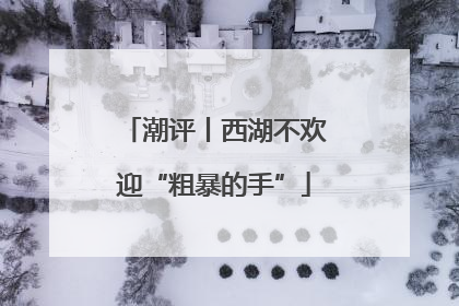 潮评丨西湖不欢迎“粗暴的手”
