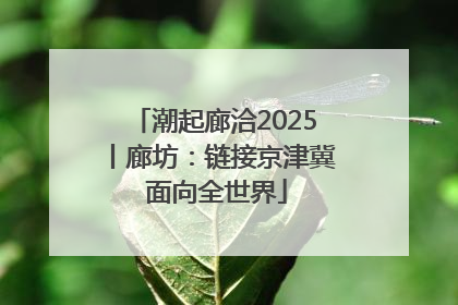 潮起廊洽2025丨廊坊：链接京津冀 面向全世界