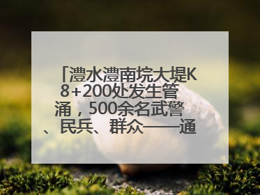澧水澧南垸大堤K8+200处发生管涌，500余名武警、民兵、群众——通宵达旦战管涌