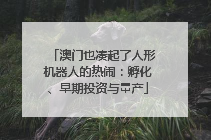 澳门也凑起了人形机器人的热闹：孵化、早期投资与量产