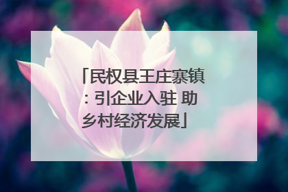 民权县王庄寨镇：引企业入驻 助乡村经济发展