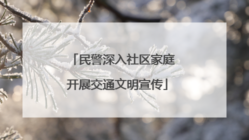 民警深入社区家庭开展交通文明宣传