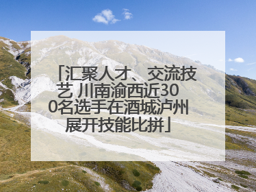 汇聚人才、交流技艺 川南渝西近300名选手在酒城泸州展开技能比拼