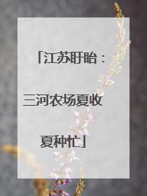 江苏盱眙：三河农场夏收夏种忙