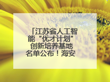 江苏省人工智能“优才计划” 创新培养基地名单公布！海安高级中学入选