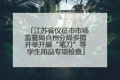 江苏省仪征市市场监管局真州分局多措并举开展“笔刀”等学生用品专项检查