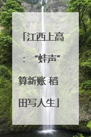江西上高：“蛙声”算新账 稻田写人生