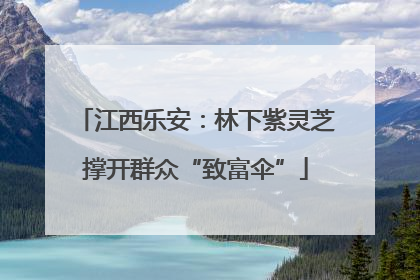 江西乐安：林下紫灵芝撑开群众“致富伞”