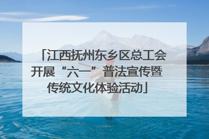 江西抚州东乡区总工会开展“六一”普法宣传暨传统文化体验活动