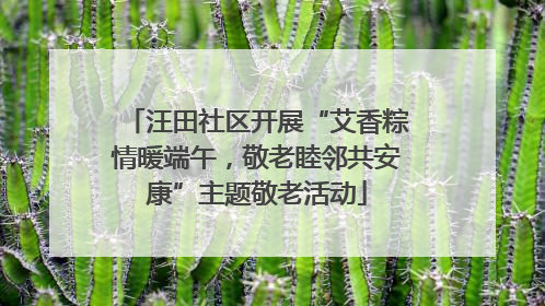 汪田社区开展“艾香粽情暖端午，敬老睦邻共安康”主题敬老活动