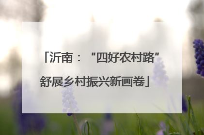 沂南：“四好农村路”舒展乡村振兴新画卷