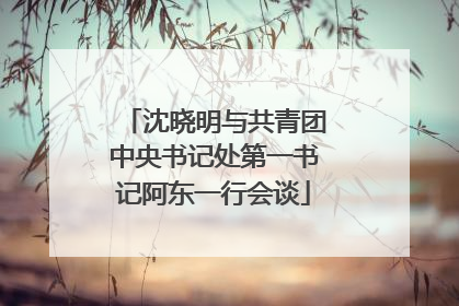 沈晓明与共青团中央书记处第一书记阿东一行会谈