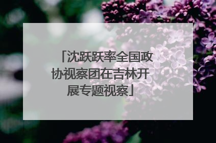 沈跃跃率全国政协视察团在吉林开展专题视察