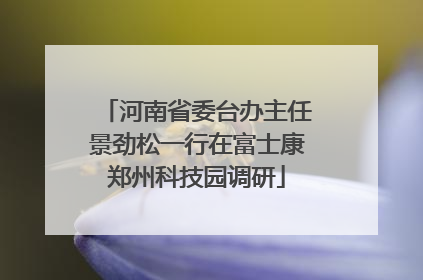 河南省委台办主任景劲松一行在富士康郑州科技园调研