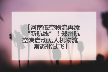 河南低空物流再添“新航线”！郑州航空港启动无人机物流常态化试飞
