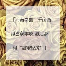 河南息县：千亩西瓜喜获丰收 激活乡村“甜蜜经济”