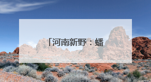 河南新野：蟠桃飘香，绘就乡村振兴新画卷