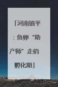 河南镇平：鱼卵“助产师”走俏孵化期