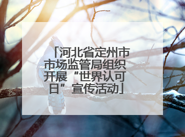 河北省定州市市场监管局组织开展“世界认可日”宣传活动