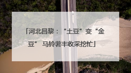 河北昌黎：“土豆”变“金豆” 马铃薯丰收采挖忙