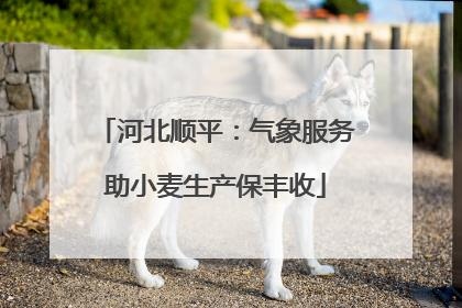 河北顺平：气象服务助小麦生产保丰收