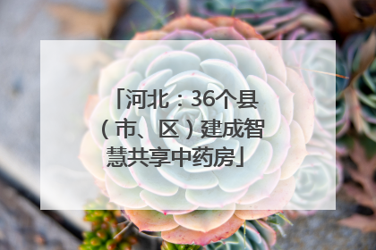 河北：36个县（市、区）建成智慧共享中药房