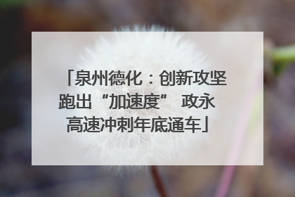 泉州德化：创新攻坚跑出“加速度” 政永高速冲刺年底通车