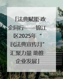 法典赋能·政企同行——锦江区2025年“民法典宣传月”汇聚力量 助推企业发展