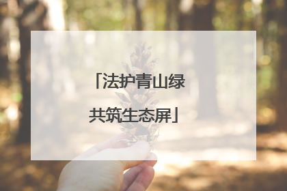 法护青山绿 共筑生态屏