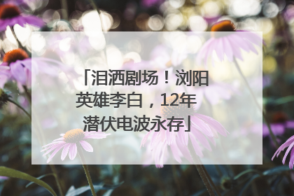 泪洒剧场！浏阳英雄李白，12年潜伏电波永存