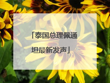 泰国总理佩通坦最新发声