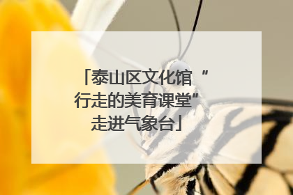泰山区文化馆“行走的美育课堂”走进气象台