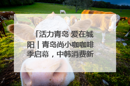 活力青岛 爱在城阳｜青岛尚小咖咖啡季启幕，中韩消费新场景点燃夏日热情