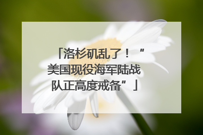 洛杉矶乱了！“美国现役海军陆战队正高度戒备”