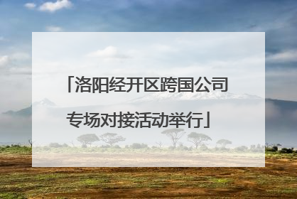 洛阳经开区跨国公司专场对接活动举行