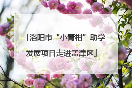 洛阳市“小青柑”助学发展项目走进孟津区