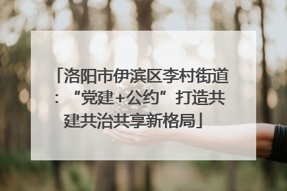 洛阳市伊滨区李村街道：“党建+公约”打造共建共治共享新格局
