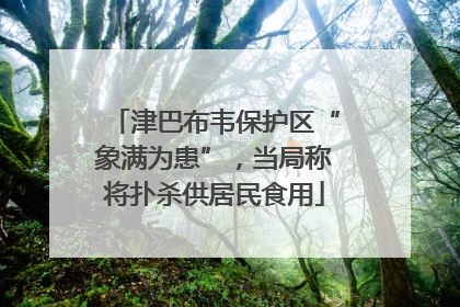 津巴布韦保护区“象满为患”，当局称将扑杀供居民食用