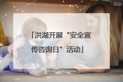 洪湖开展“安全宣传咨询日”活动