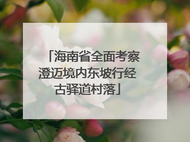 海南省全面考察澄迈境内东坡行经古驿道村落