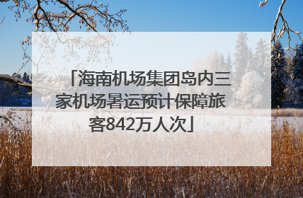海南机场集团岛内三家机场暑运预计保障旅客842万人次
