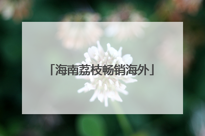 海南荔枝畅销海外